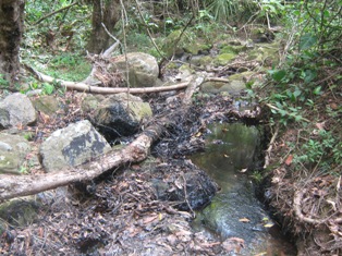 Como el Agua y el Aceite